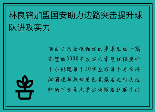 林良铭加盟国安助力边路突击提升球队进攻实力 林良铭加盟国安助力边路突击提升球队进攻实力